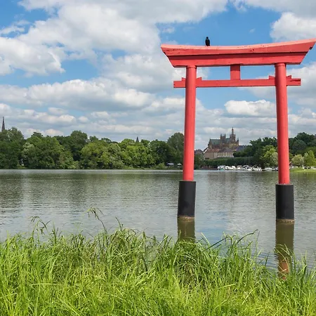 La Canopée - - Netflix *