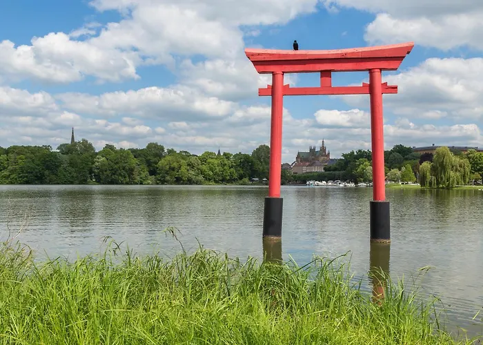 La Canopee - - Netflix *