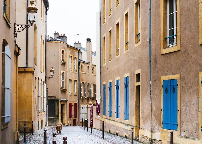 La Canopee - - Netflix