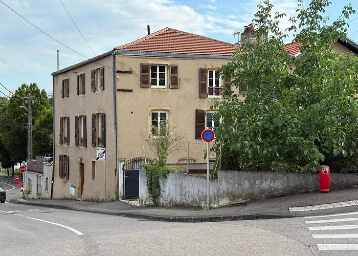 La Canopee - - Netflix *